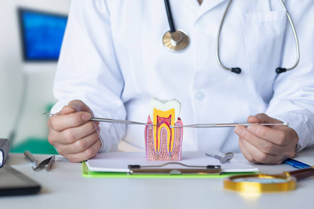 Best Orthodontic Emergency Dentist in Snyder, TX